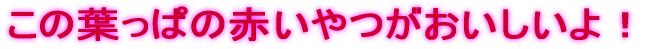 ̗tς̐ԂI